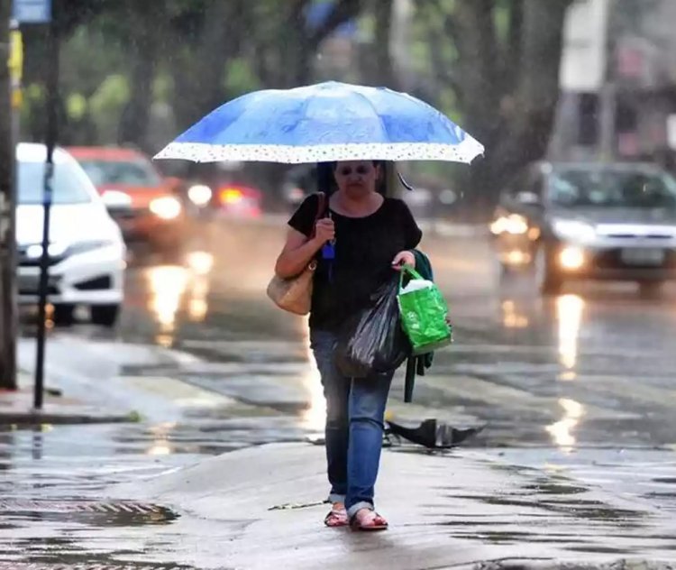 Formiga terá chuva nas tardes dos próximos dias