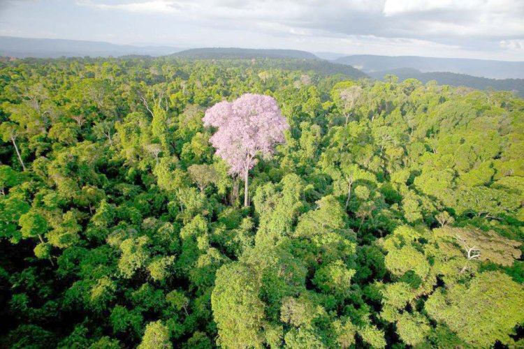 Vale preserva a natureza e apoia a cultura