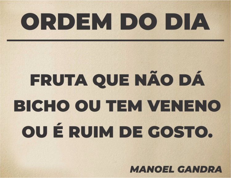 Ordem do Dia - Pergaminho