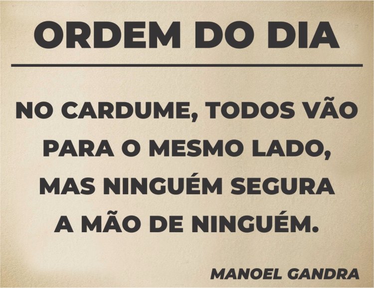Ordem do Dia - Pergaminho