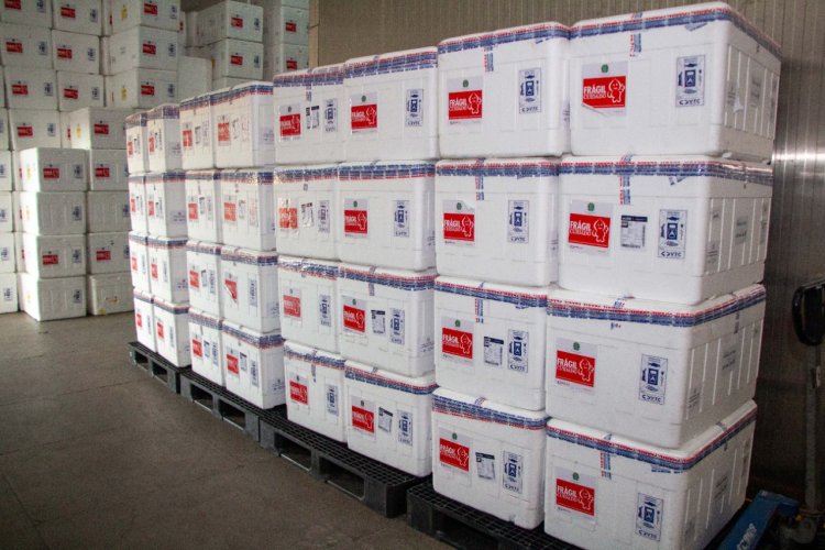Covid-19: Vacinas para crianças começam a ser distribuídas em Minas, mas sem previsão de chegada a Formiga