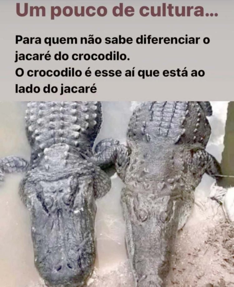 Deu na Net do Pergaminho