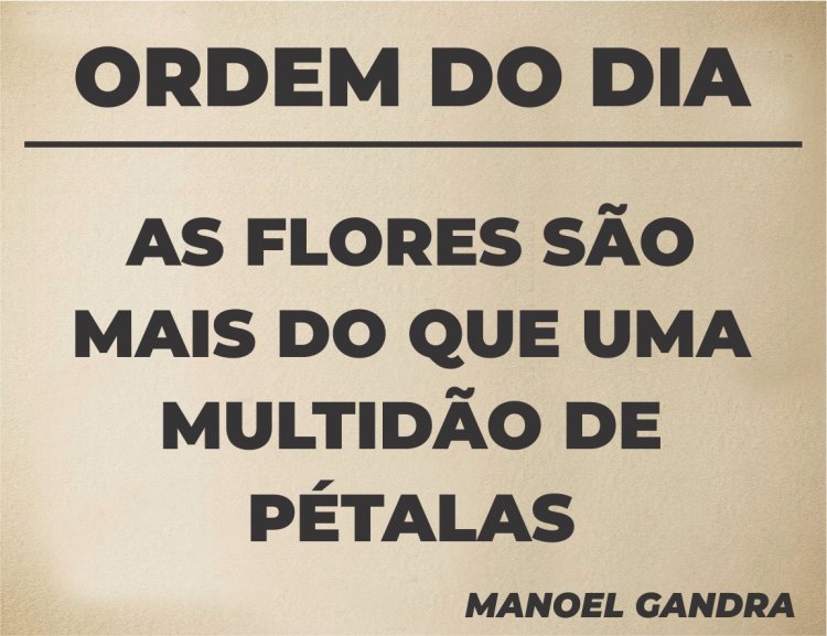 Ordem do Dia - Pergaminho