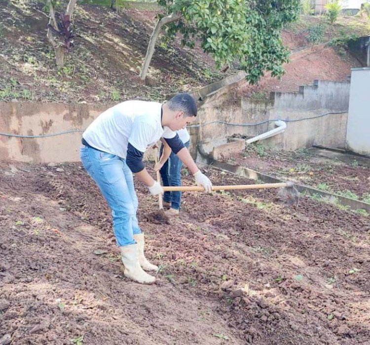 Projeto Horta Urbana retoma atividades