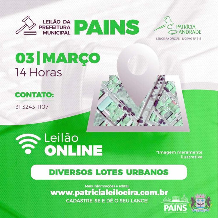 Pains: Leilão Online