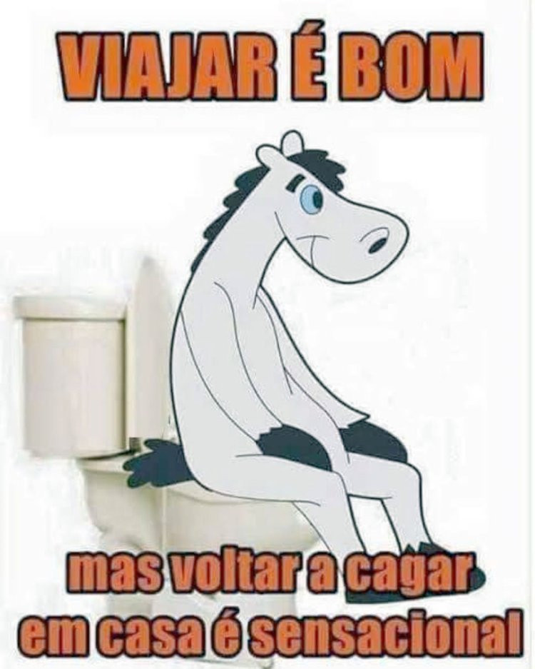 Deu na Net do Pergaminho