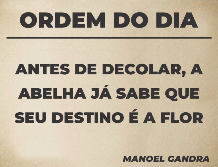 Ordem do Dia - Pergaminho