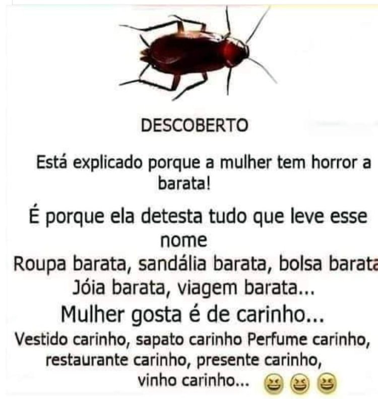 Deu na Net do Pergaminho