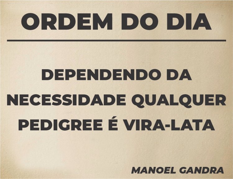 Ordem do Dia - Pergaminho