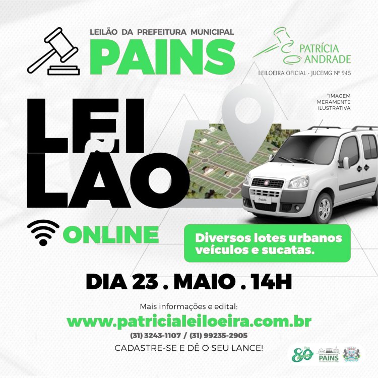 Pains: Leilão Online