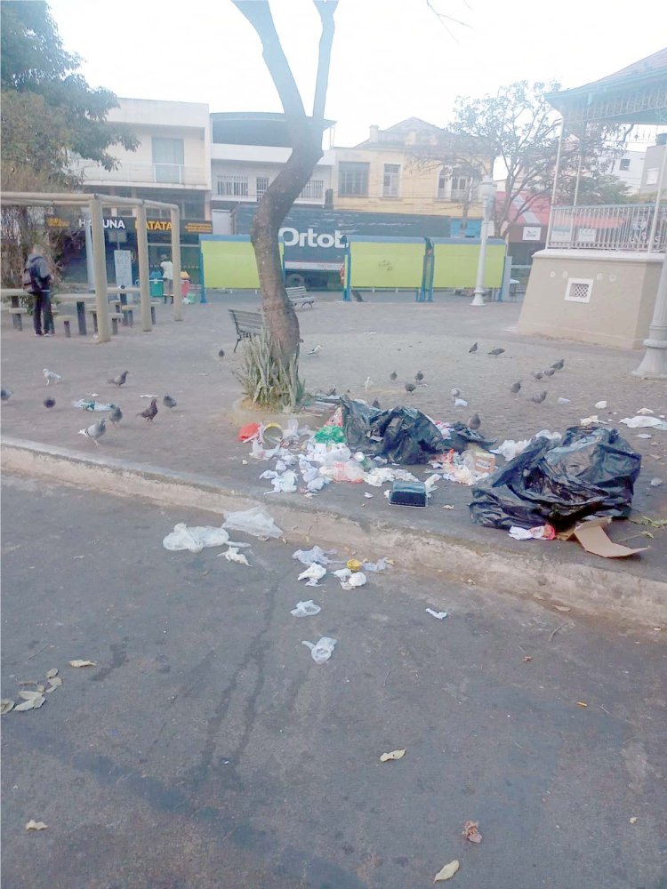 Invadida por aves, Formiga prepara plano de manejo