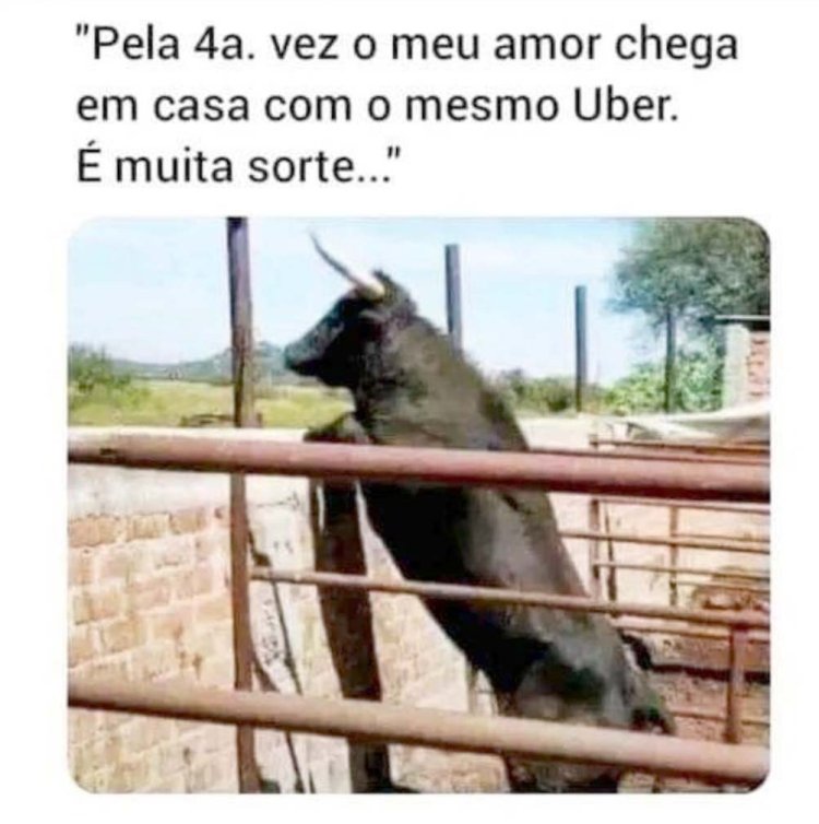 Deu na Net do Pergaminho