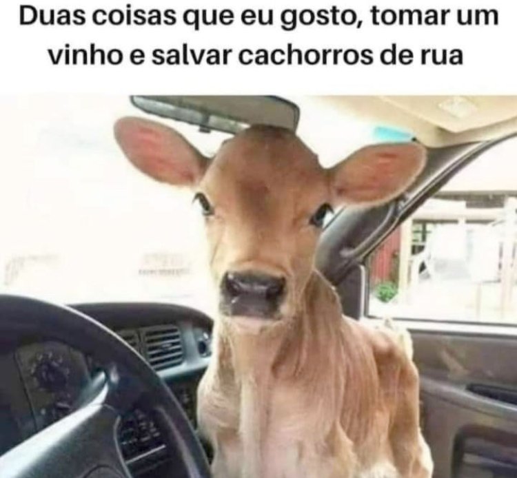 Deu na Net do Pergaminho