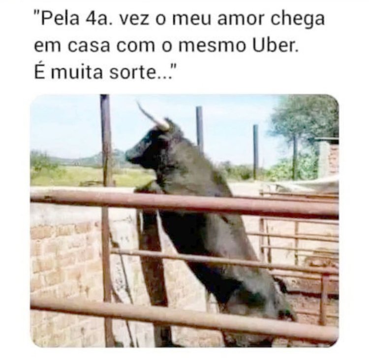 Deu na Net do Pergaminho
