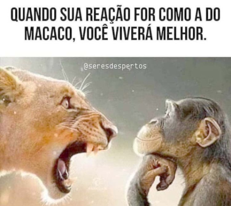Deu na Net do Pergaminho
