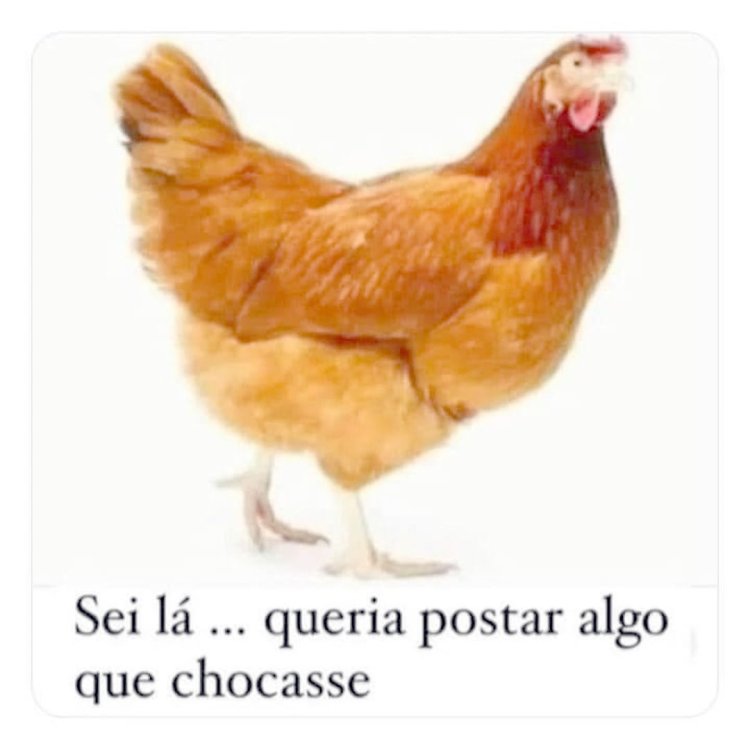 Deu na Net do Pergaminho