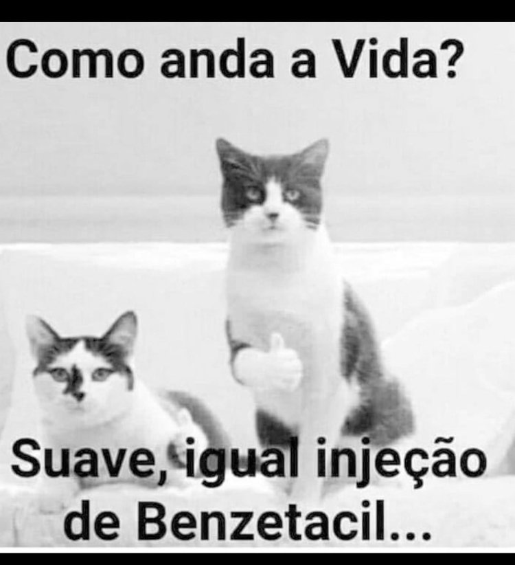 Deu na Net do Pergaminho