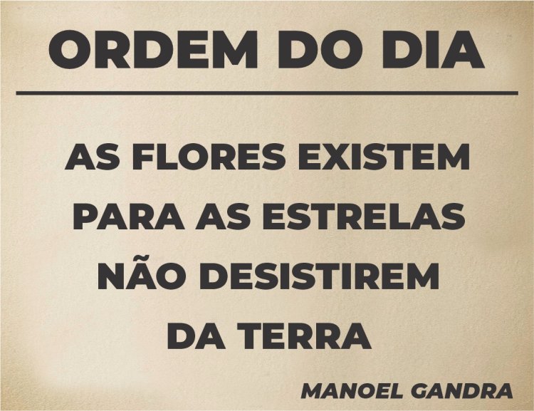 Ordem do Dia - Pergaminho