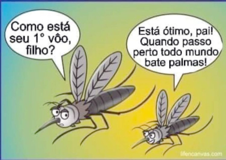 Deu na Net do Pergaminho