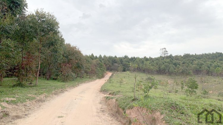 Prefeitura quer regulamentar largura de estradas rurais