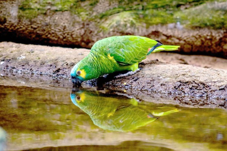 Formiguense é um dos vencedores de concurso nacional de fotografia