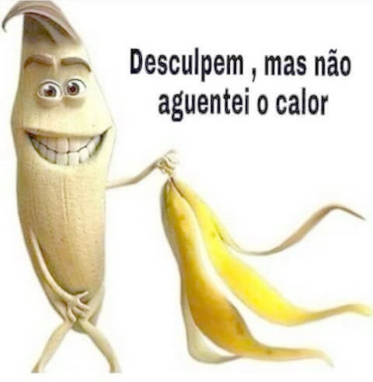 Deu na Net do Pergaminho