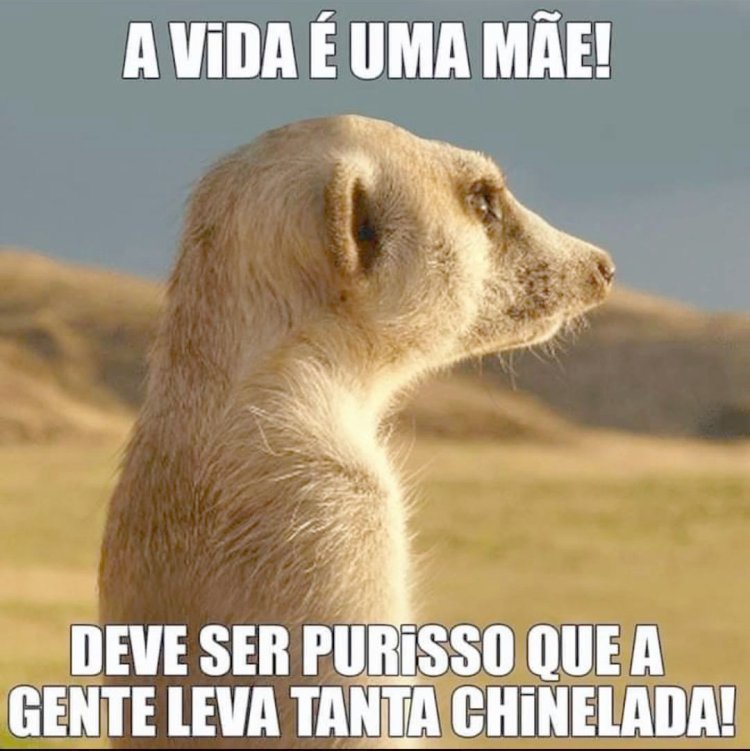 Deu na Net do Pergaminho
