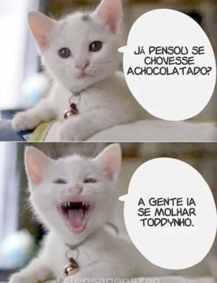 Deu na Net do Pergaminho