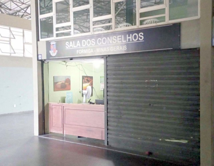 Novo contato