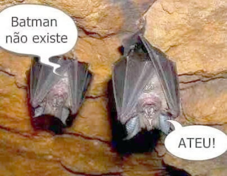 Deu na Net do Pergaminho