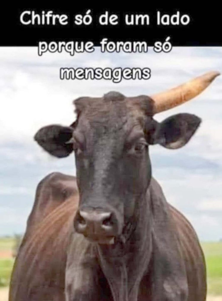 Deu na Net do Pergaminho