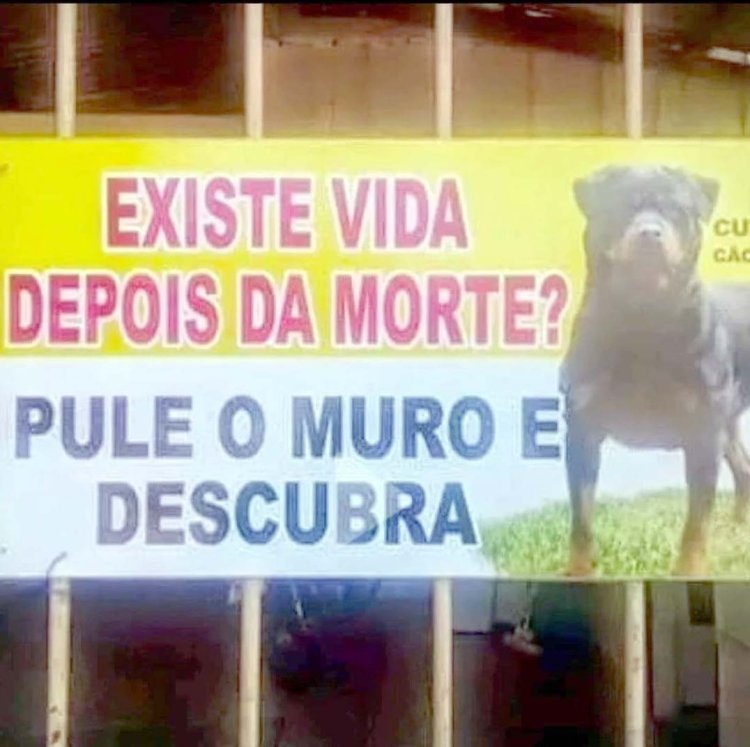 Deu na Net do Pergaminho