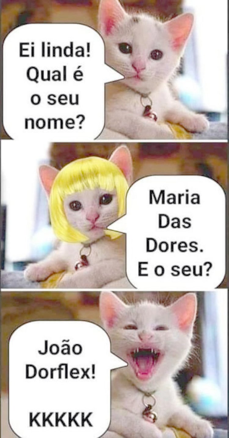 Deu na Net do Pergaminho