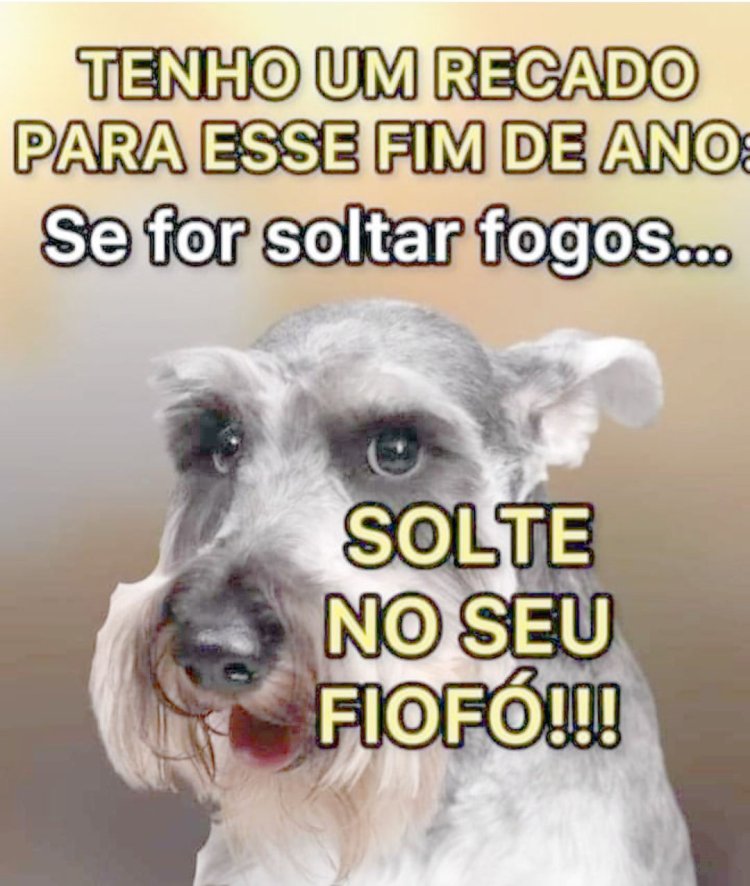 Deu na Net do Pergaminho