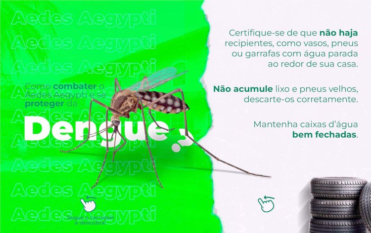 Pains: Como combater o Aedes Aegypti e se proteger da Dengue
