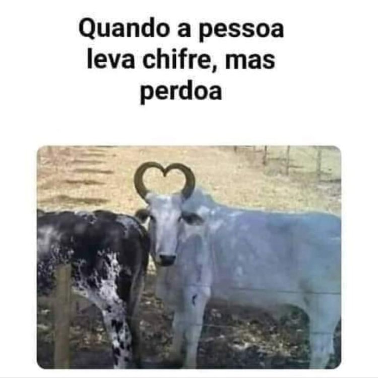 Deu na Net do Pergaminho