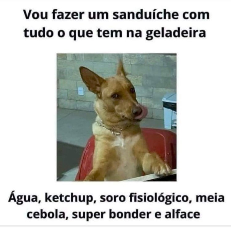 Deu na Net do Pergaminho