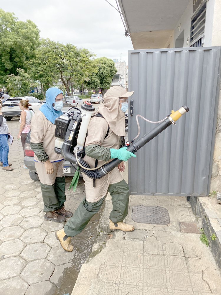 Pains: Combate à Dengue