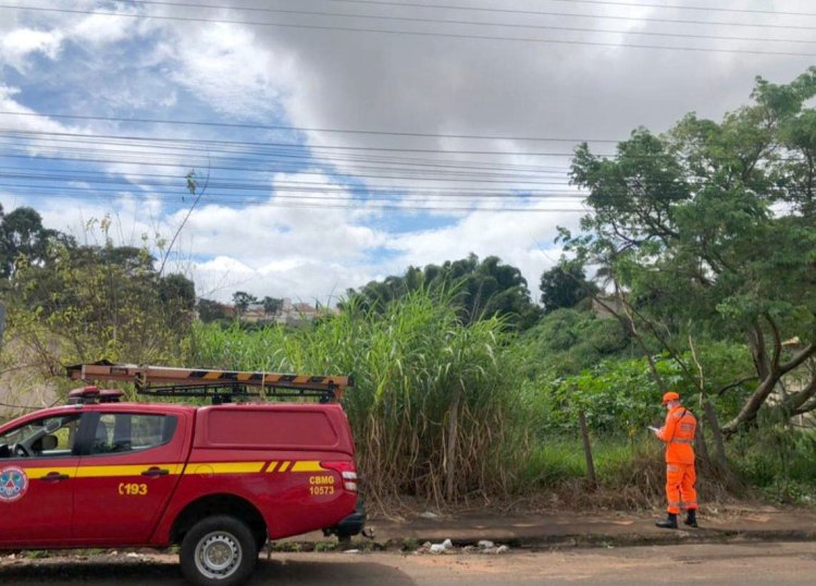 Lotes urbanos são vistoriados pelo Corpo de Bombeiros