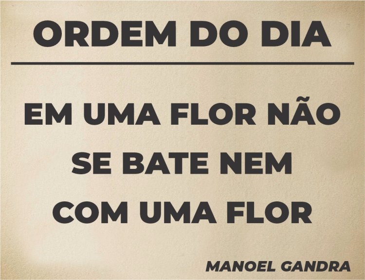 Ordem do Dia - Pergaminho
