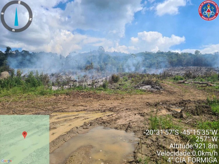 Bombeiros combatem queimadas em área  de reflorestamento e lote vago em Formiga