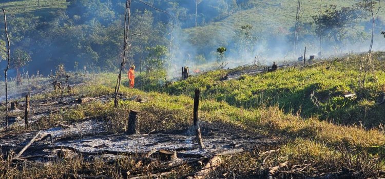 Incêndio às margens da BR-354 mobiliza Corpo de Bombeiros