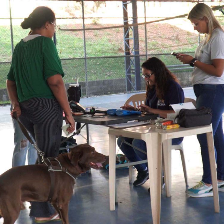 Unifor recebe mutirão de castração de pequenos animais