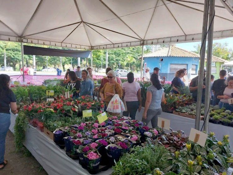 Tatame do Bem realizará Feira de Flores e Plantas de Holambra