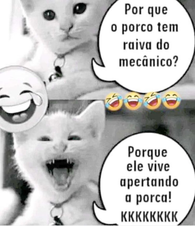 Deu na Net do Pergaminho