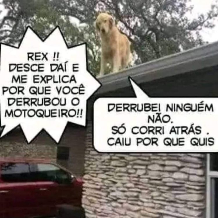 Deu na Net do Pergaminho