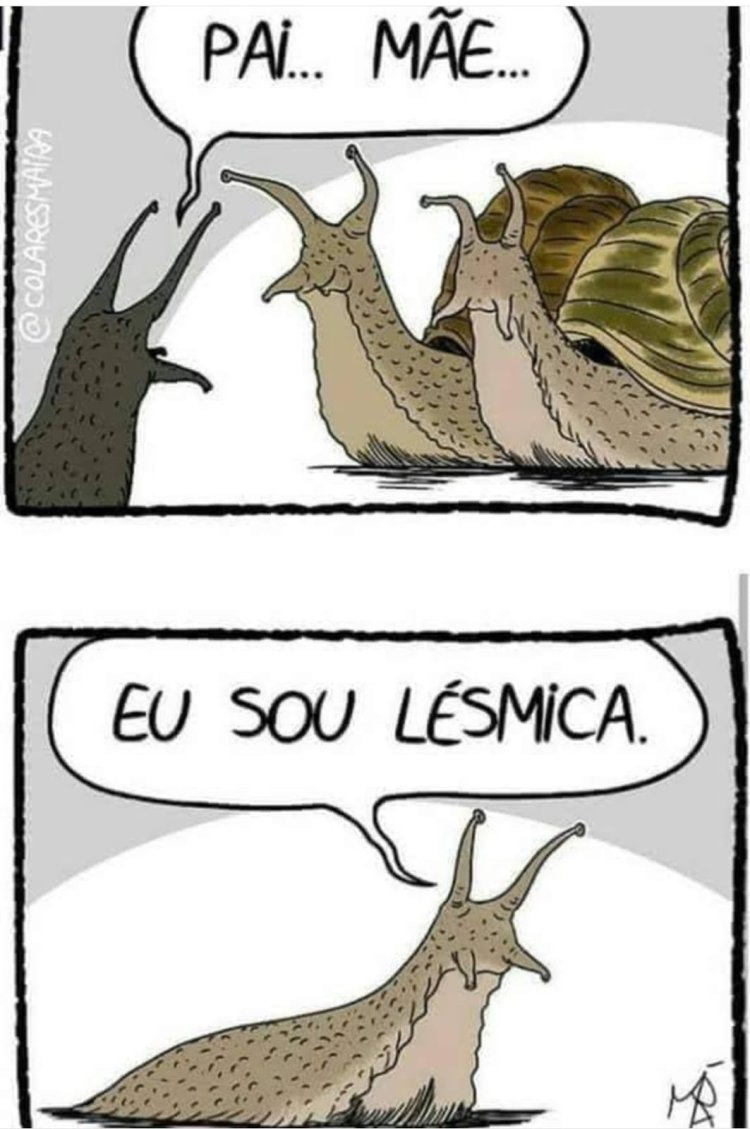 Deu na Net do Pergaminho
