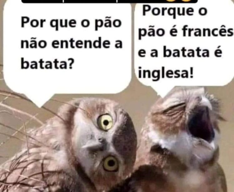 Deu na Net do Pergaminho