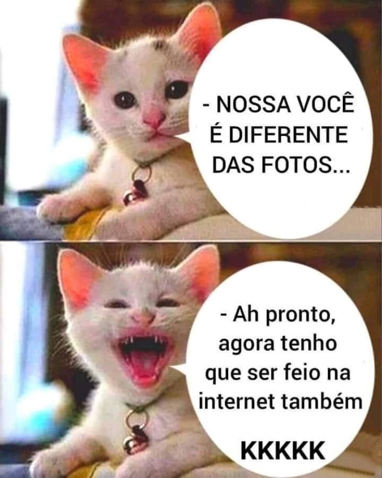 Deu na Net do Pergaminho