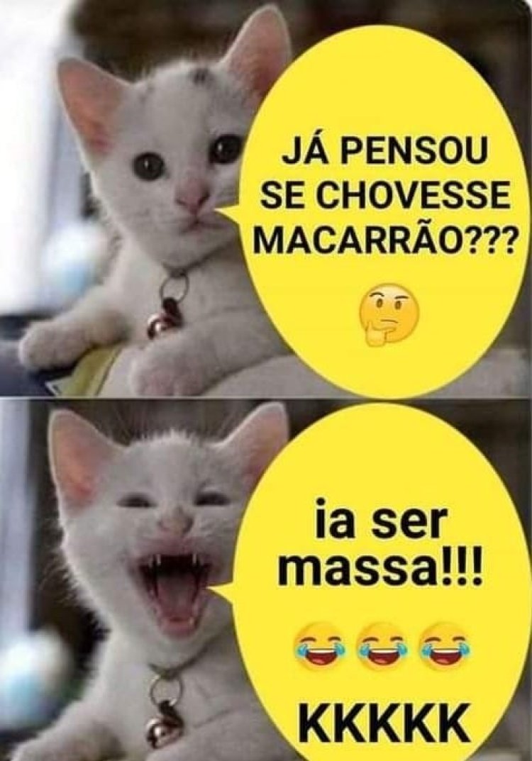 Deu na Net do Pergaminho